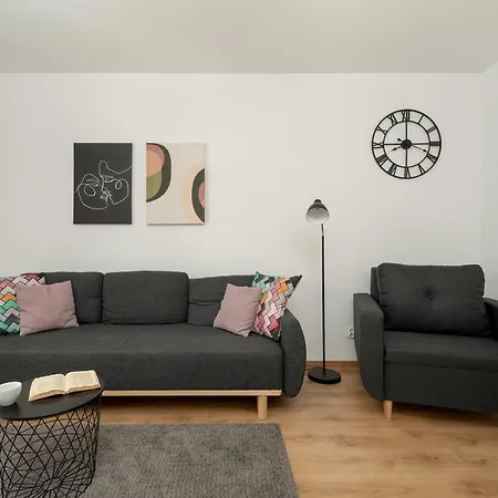 Apartment Bright With And Fitness In By Renters